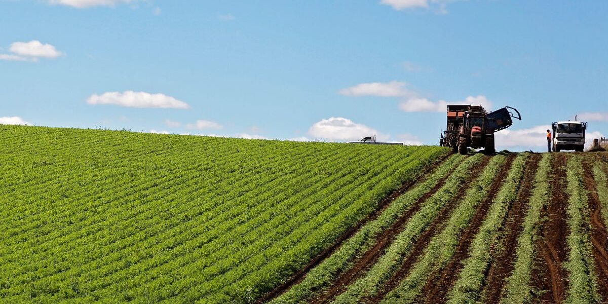 Understanding agricultural property valuations
