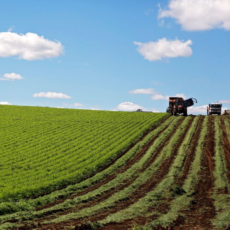 Understanding agricultural property valuations Understanding agricultural property valuations